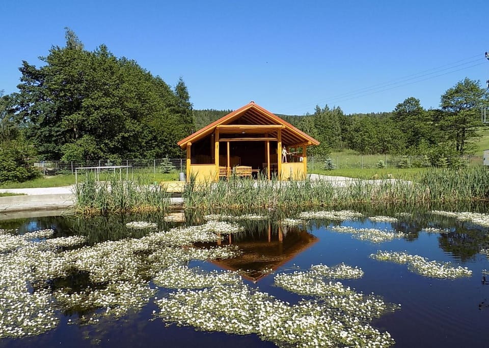 Świerkówka Stronie Śląskie Vacation rental in Lower Silesian Voivodeship