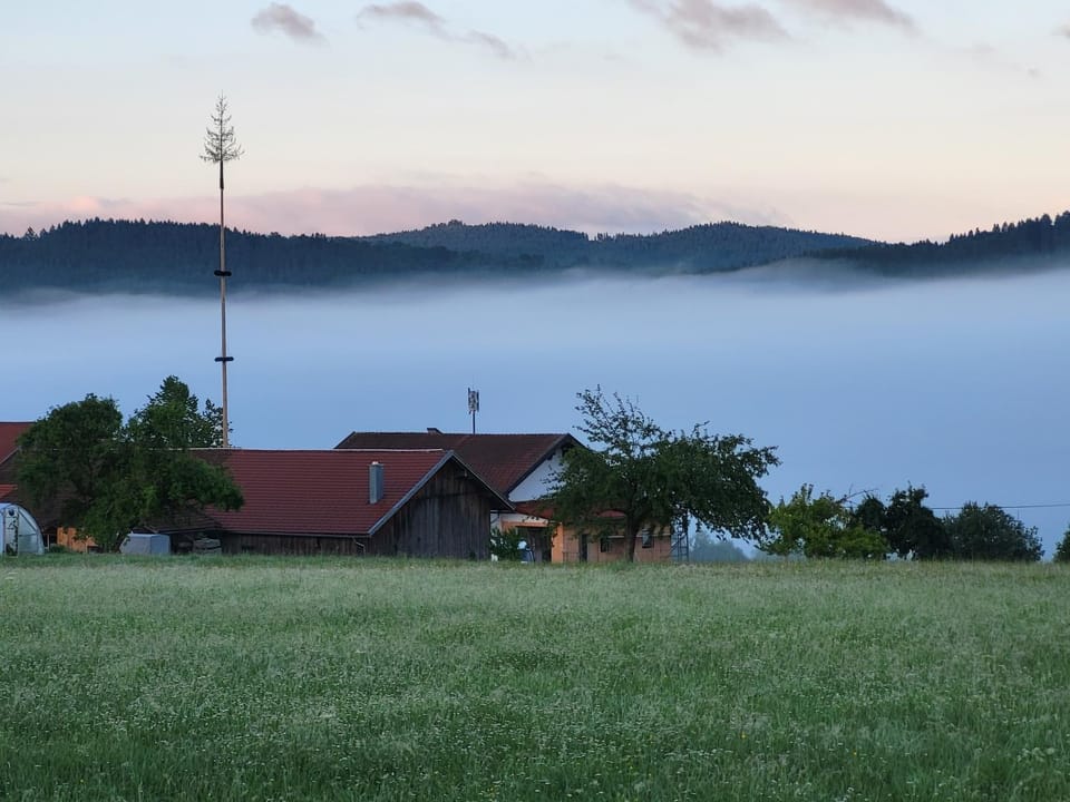 Landhaus Auhirsch Bed and Breakfast in Bavaria