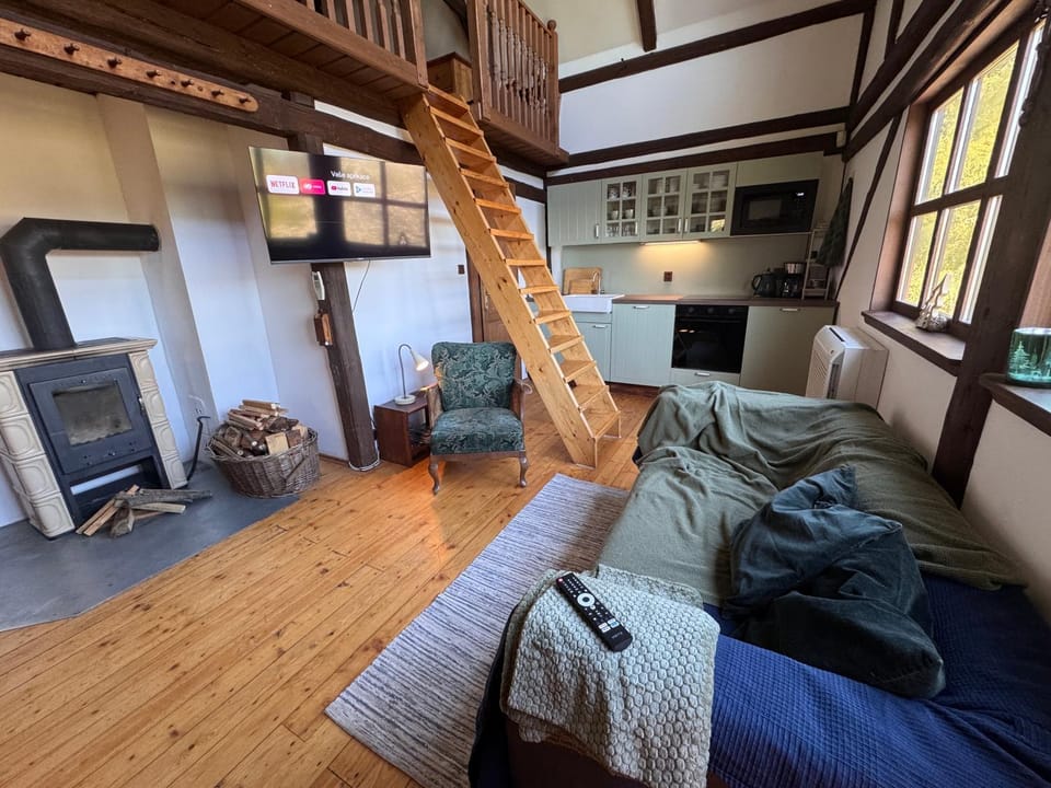 Kitchen or kitchenette, Living room, Photo of the whole room, Seating area, fireplace, fireplace, microwave