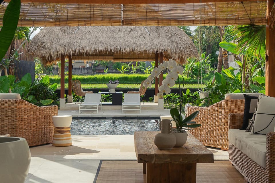 Natural landscape, Garden, Garden view, Pool view