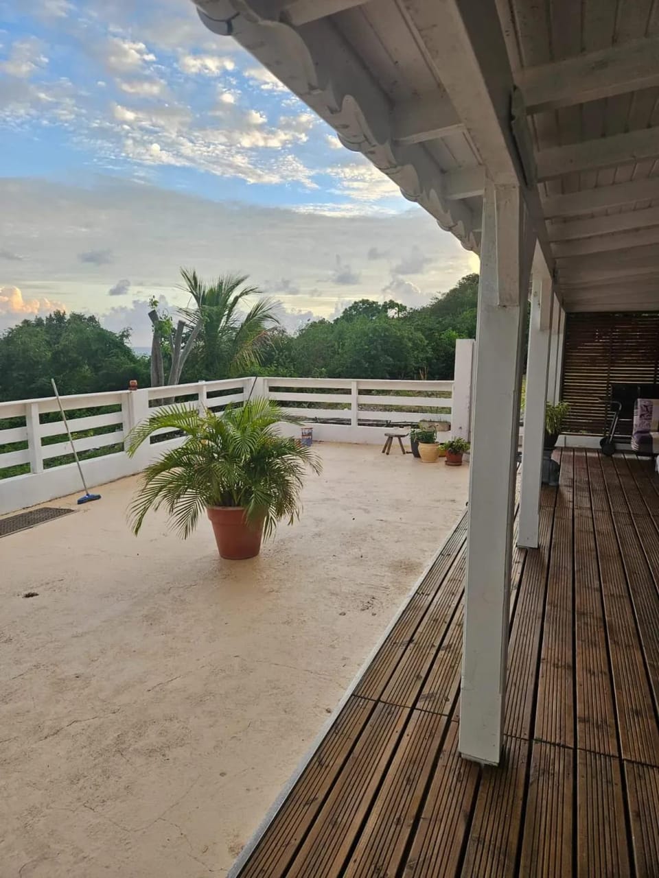 Garden view
