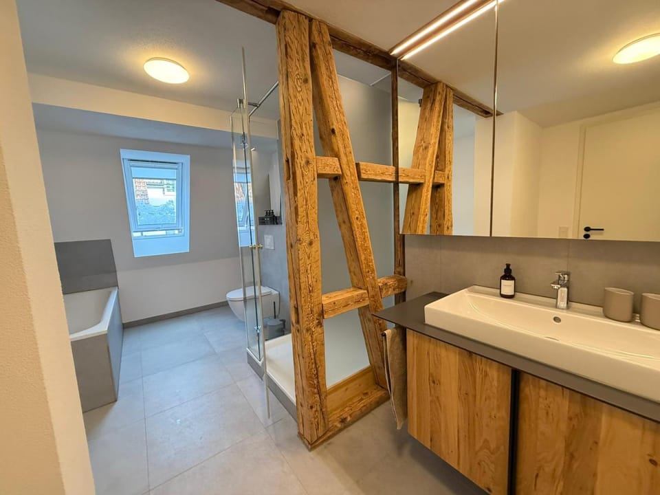 Shower, Toilet, Bathroom, Bath, towels