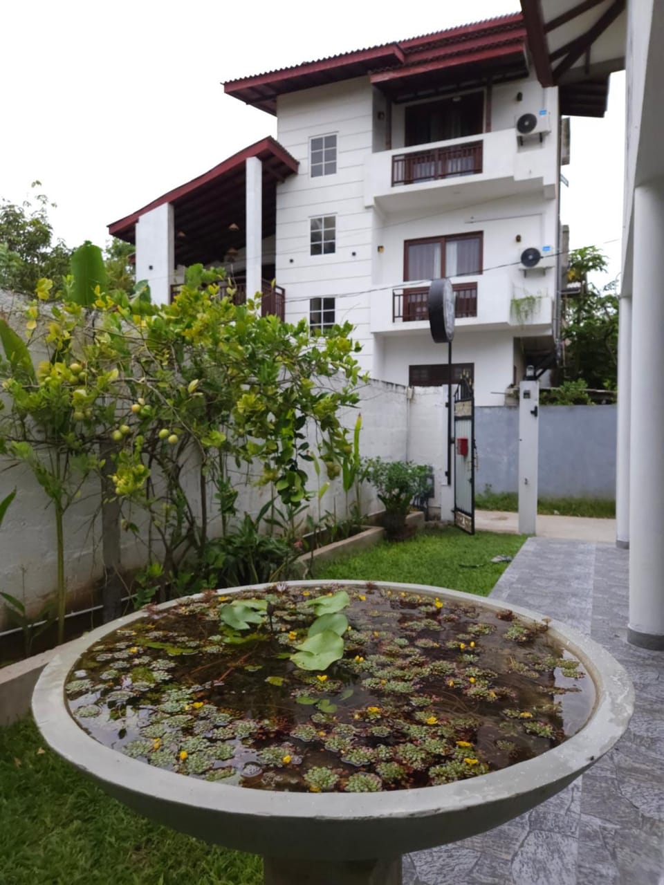 Property building, Garden