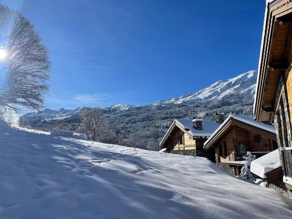Chalet Mademoiselle Chalet in Les Allues