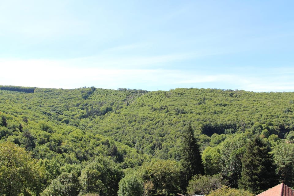 View (from property/room)
