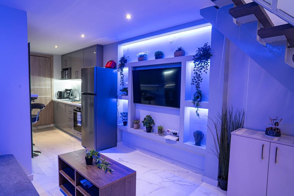 TV and multimedia, Kitchen or kitchenette, Photo of the whole room, Decorative detail, Seating area, Evening entertainment, Entertainment, internet, kitchen