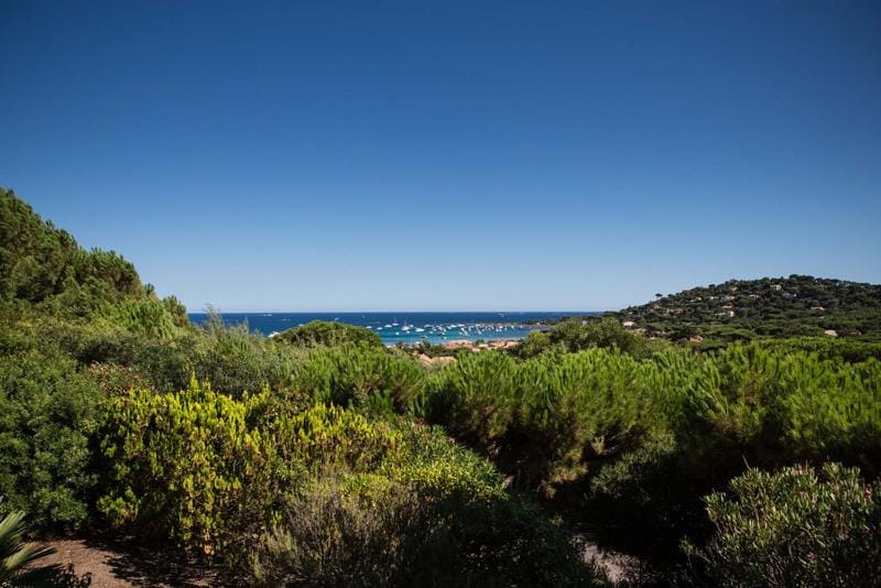 Sea view