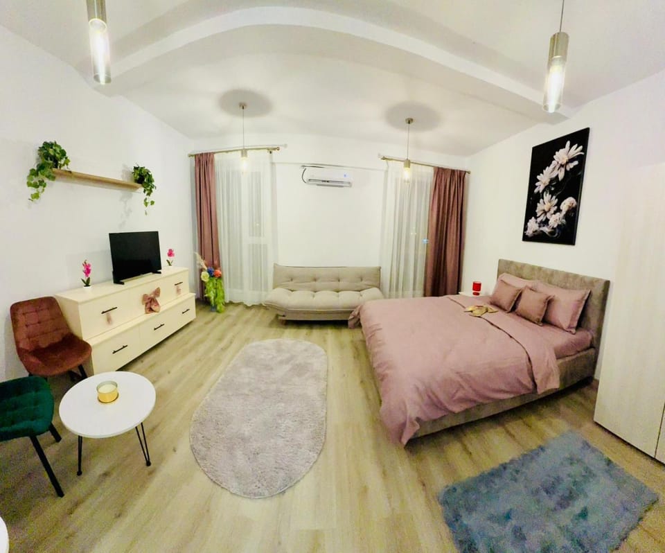 Corina Apartment Apartment in Brasov
