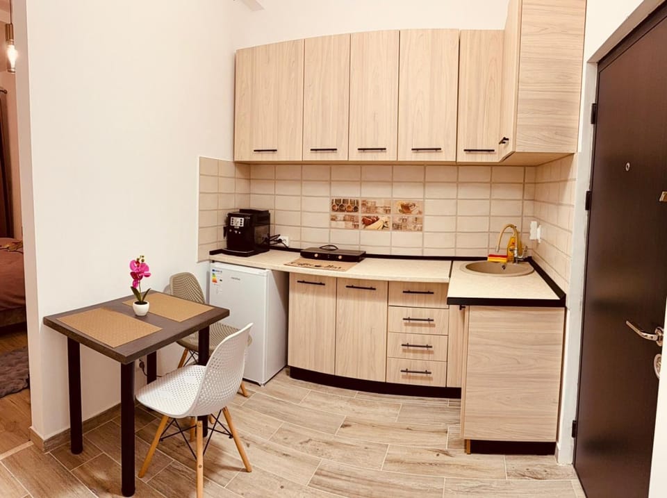 Corina Apartment Apartment in Brasov
