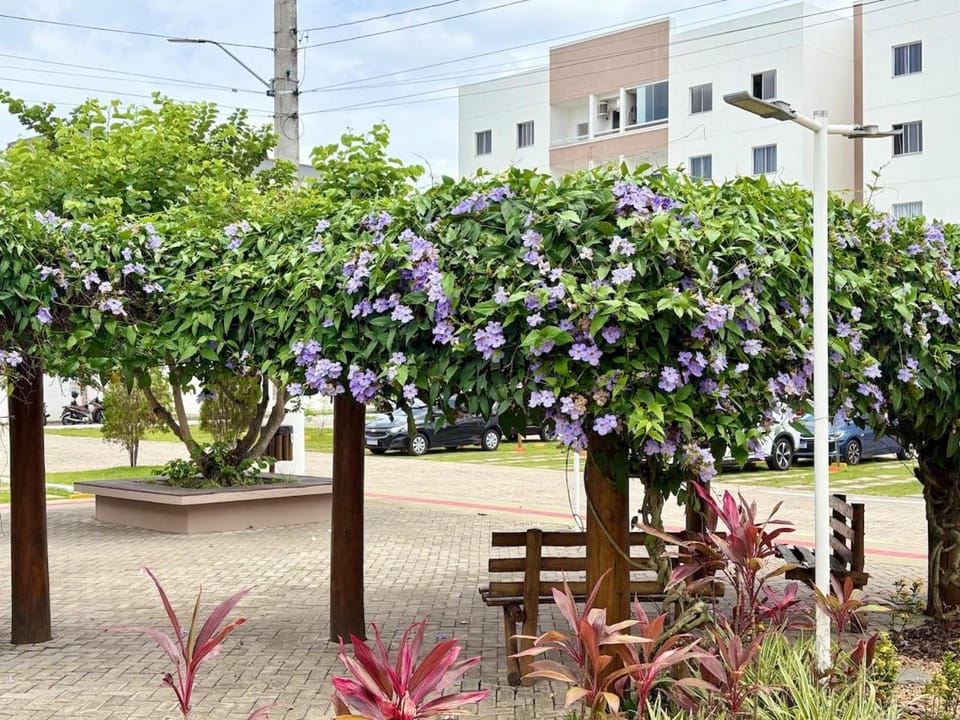 Apto minimalista na melhor localização do SIM Apartment in Feira de Santana