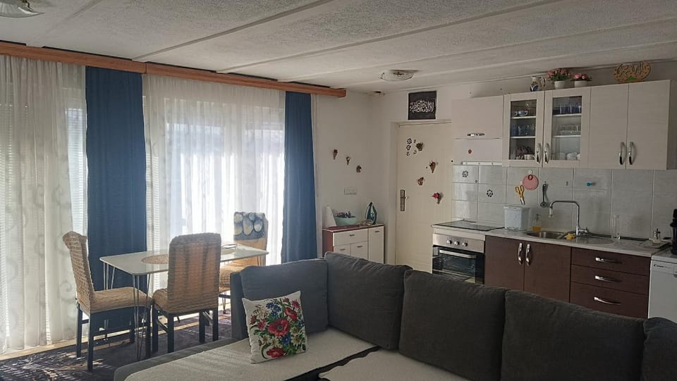 Kitchen or kitchenette, Living room, Seating area, Dining area, oven, stove