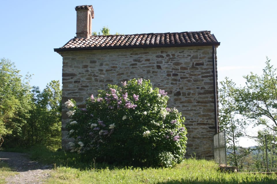 Spring, Garden view