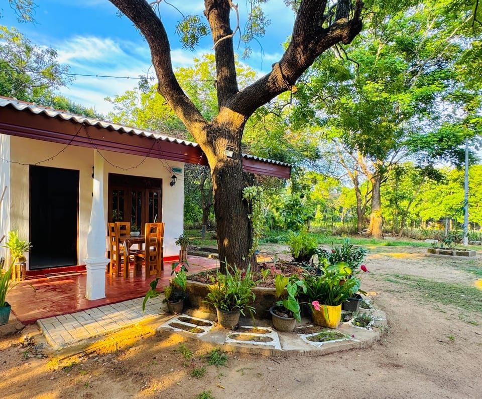 Property building, Garden, Garden view