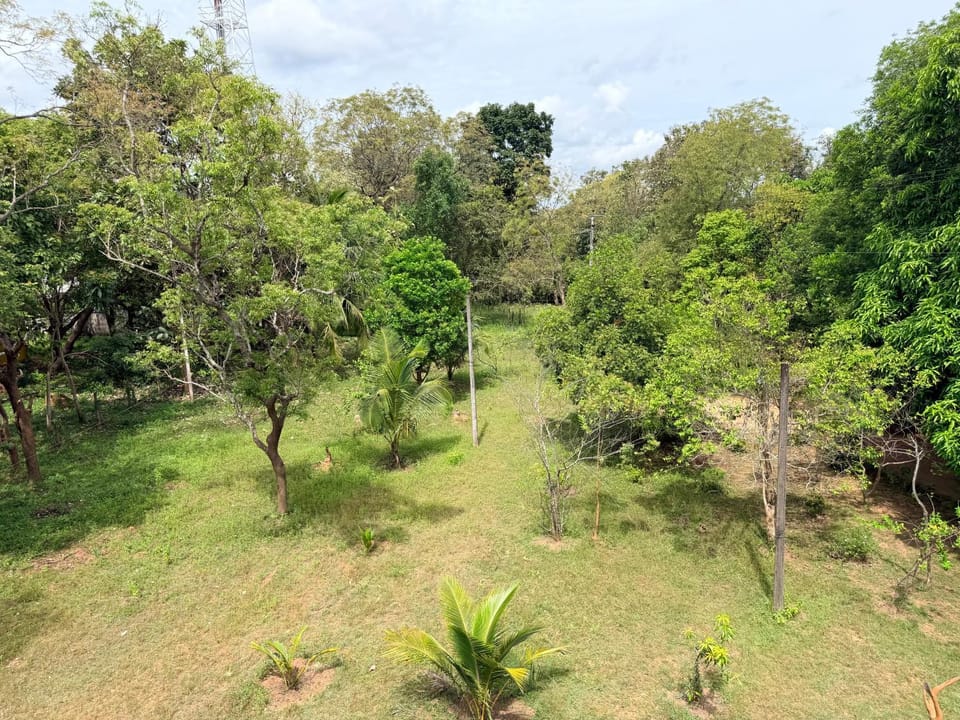 Natural landscape, Garden, Garden view