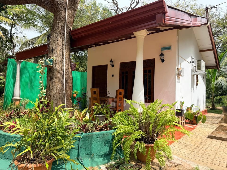 Property building, Day, Garden view