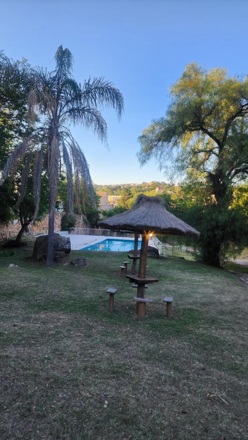Garden, Garden view, Swimming pool