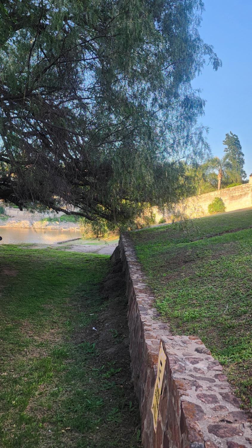 Natural landscape, Garden