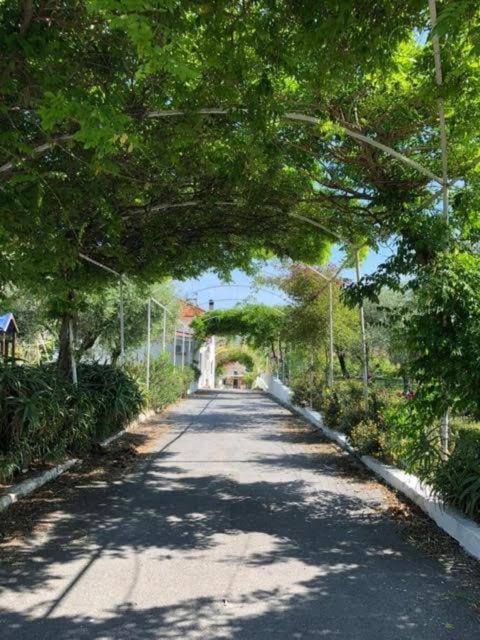 Borgo degli Ulivi Apartment hotel in Pietra Ligure