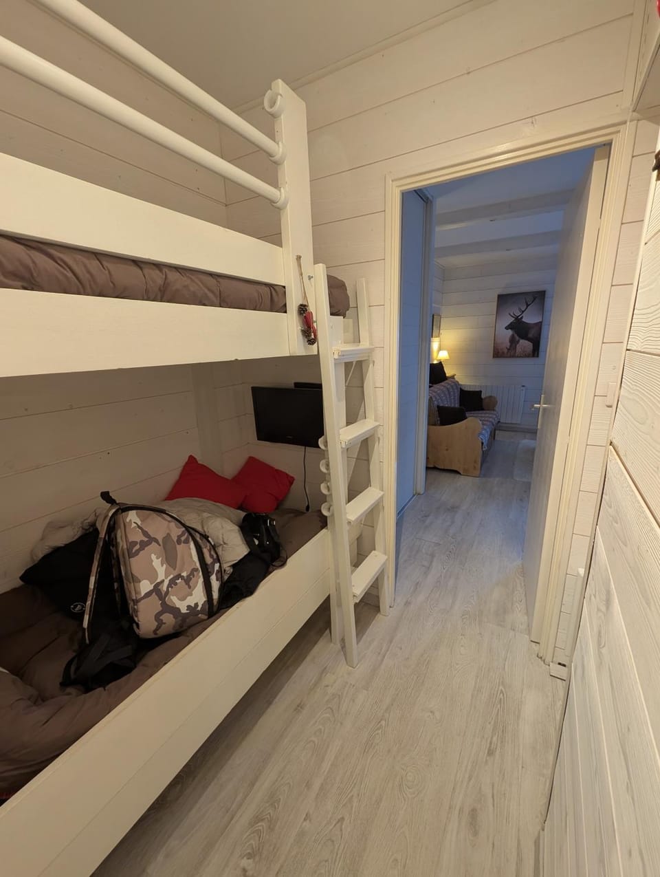 centre Auron calme et montagne Apartment in Saint-Étienne-de-Tinée