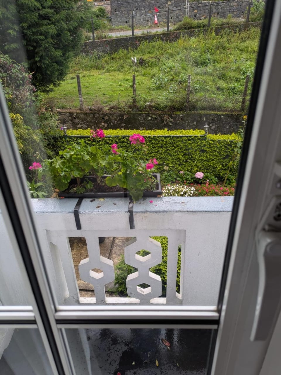 Garden view