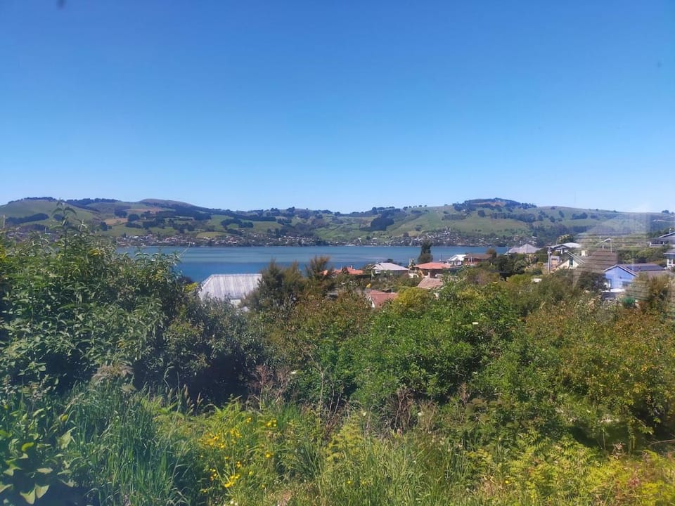 From Bush to Sea House in Dunedin