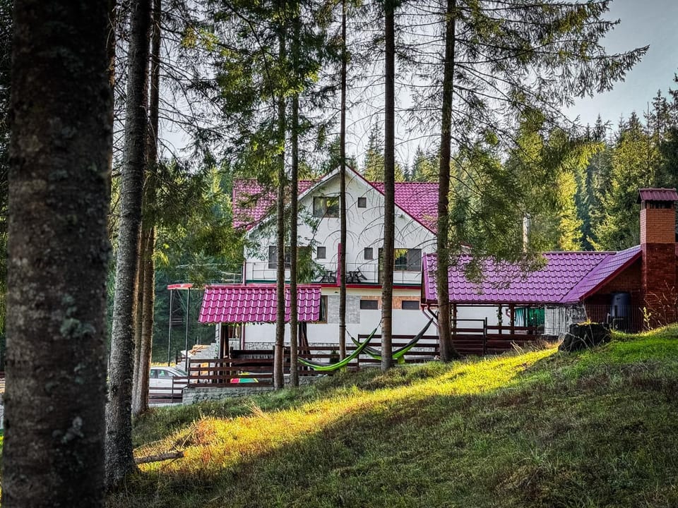 Property building, Natural landscape, Garden, Seating area, Area and facilities