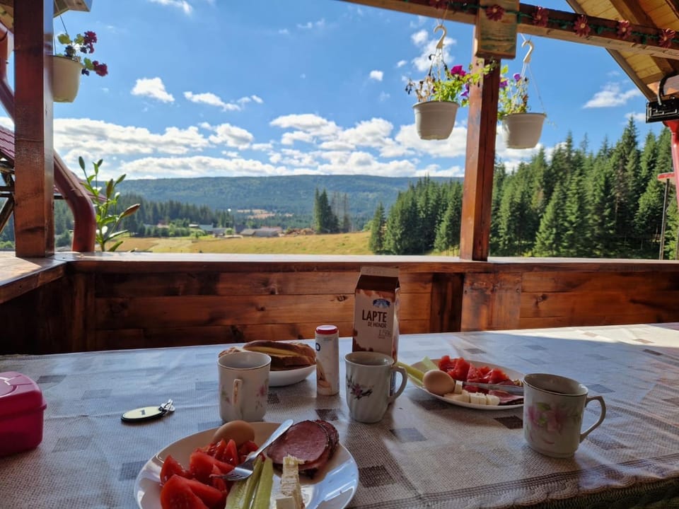 Natural landscape, Garden, View (from property/room), Dining area, Mountain view