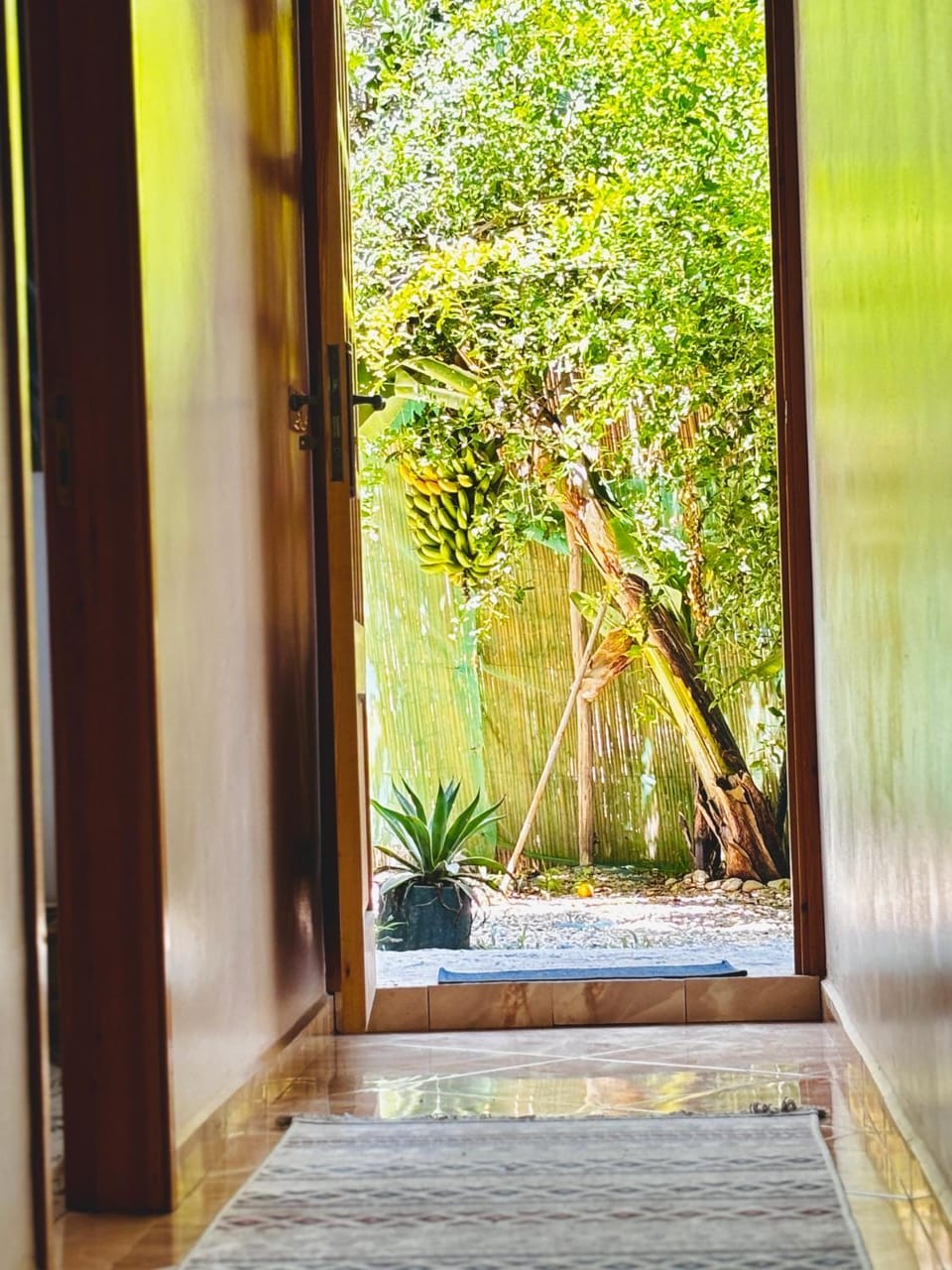Garden view