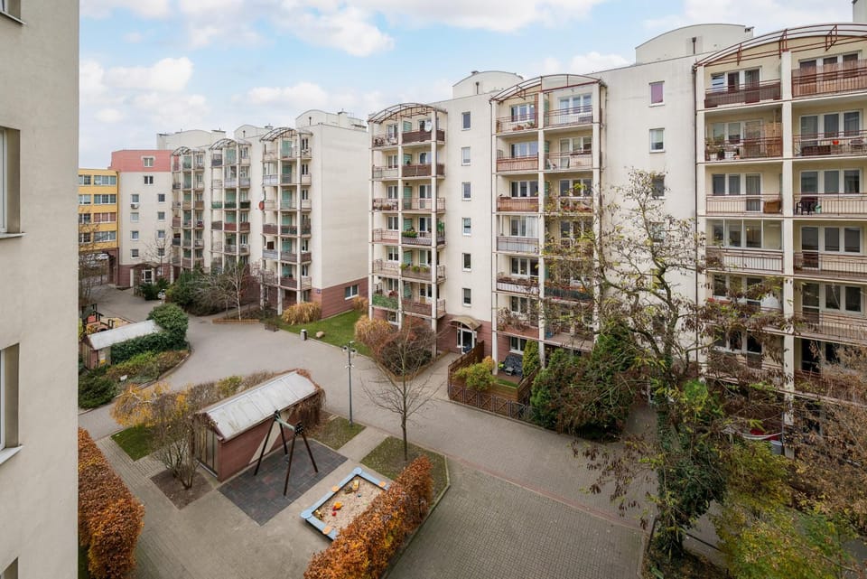 Day, Street view, Location