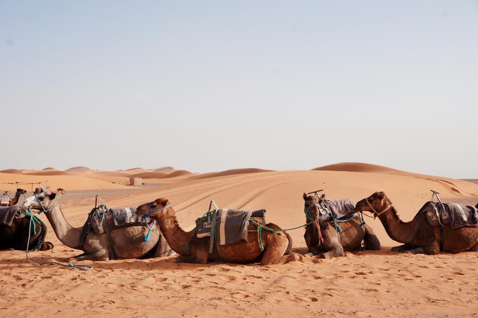 Merzouga Desert Dreams Hotel in Morocco