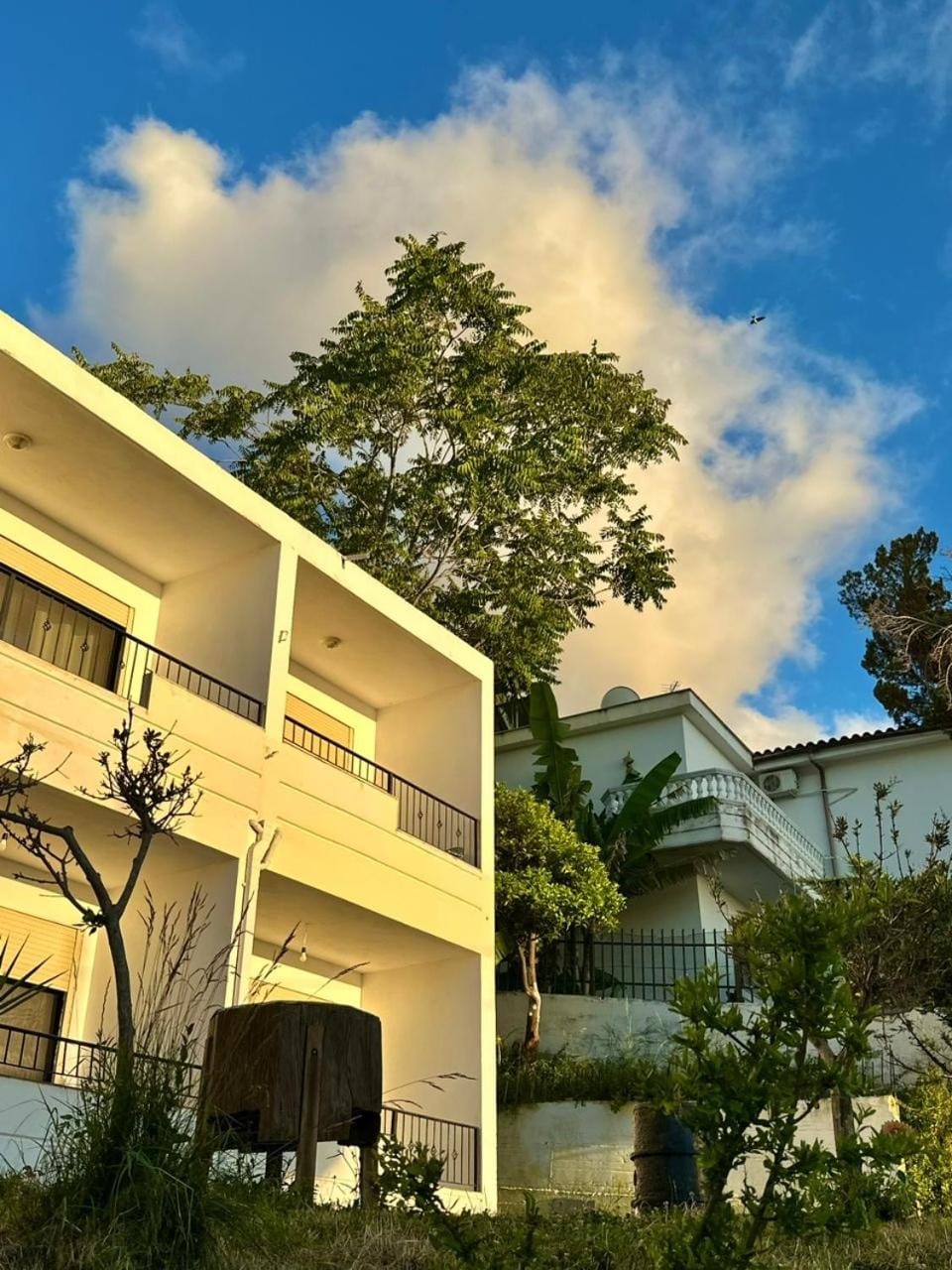 Property building, Day