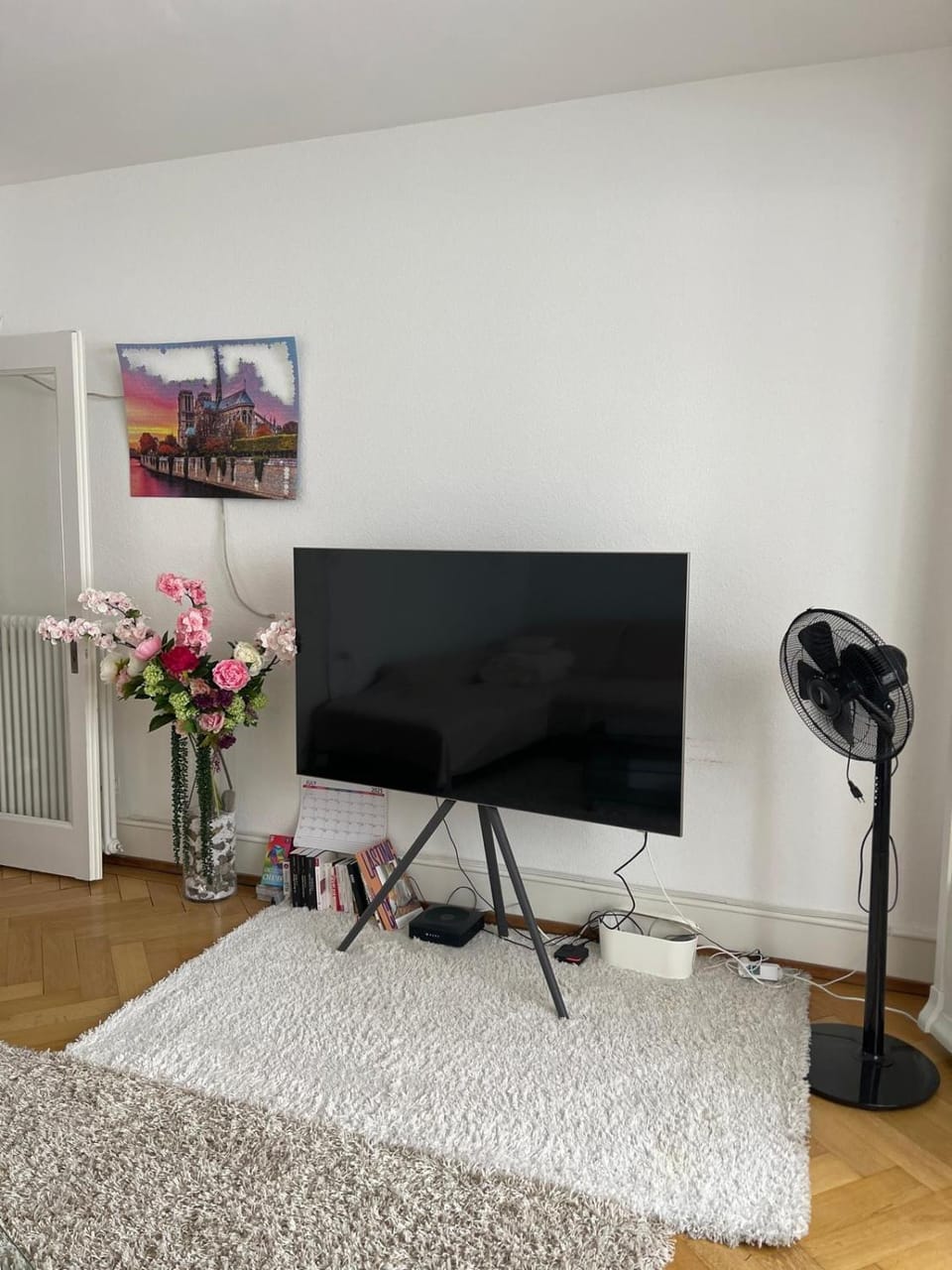 Salon lumineux avec TV et Canapé Vacation rental in Fribourg