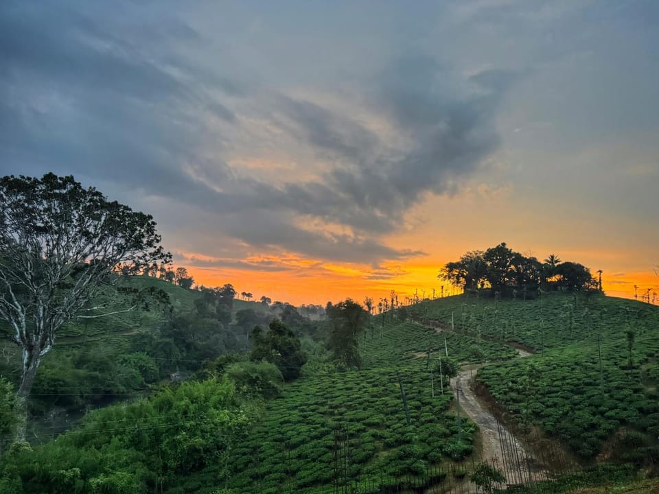 Natural landscape, Mountain view, Sunset
