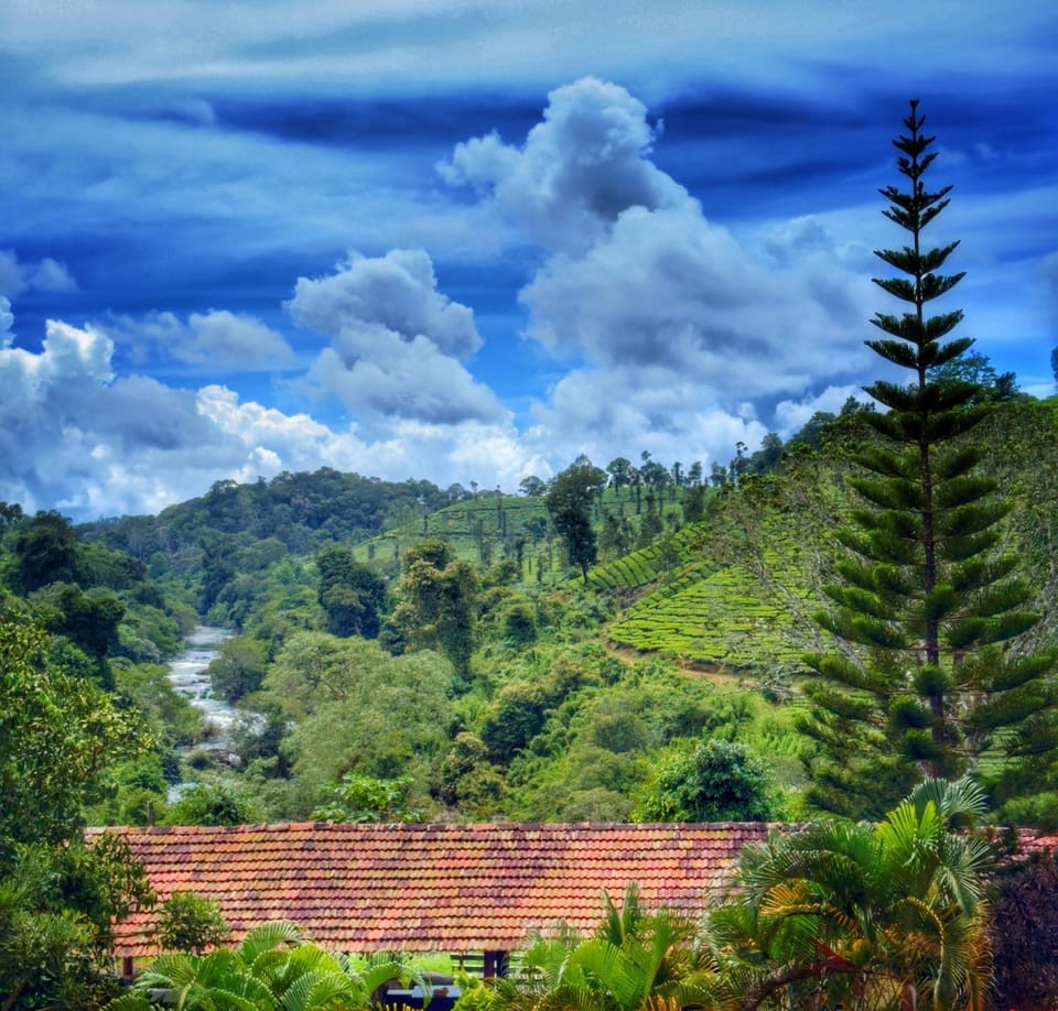 Natural landscape, Mountain view