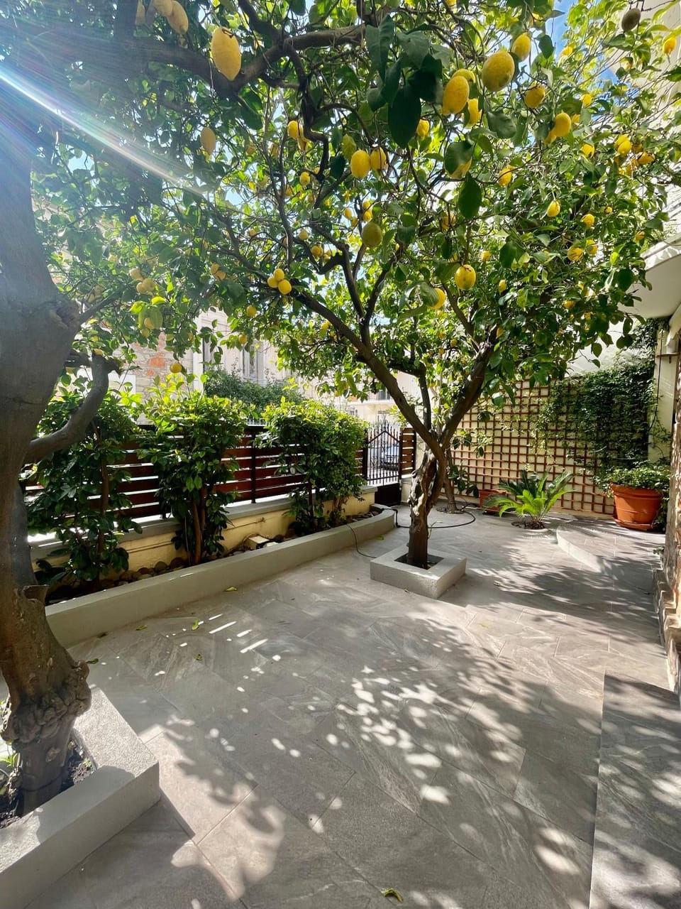 Patio, Garden