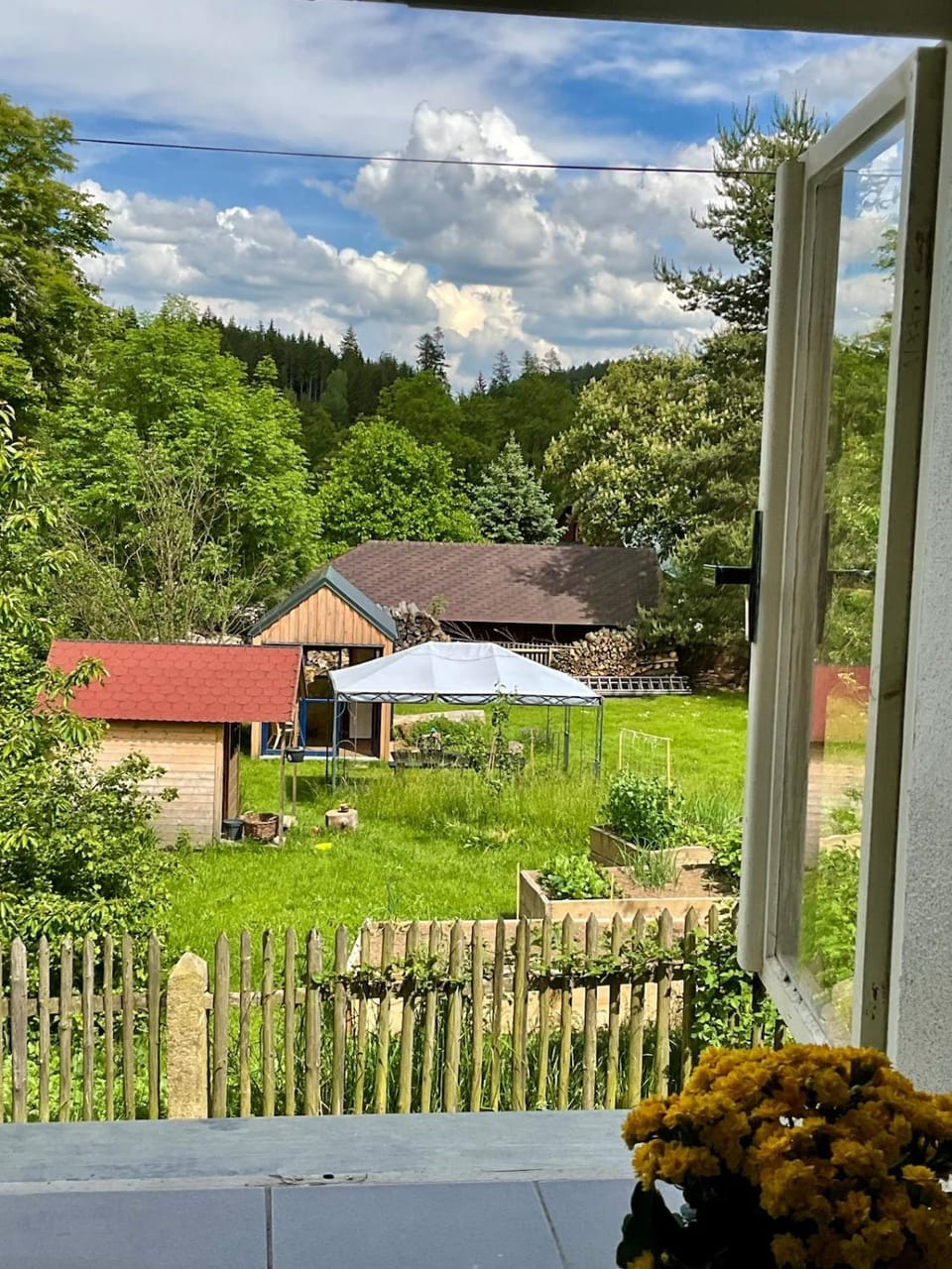 Spring, Day, Natural landscape, Garden, Garden view