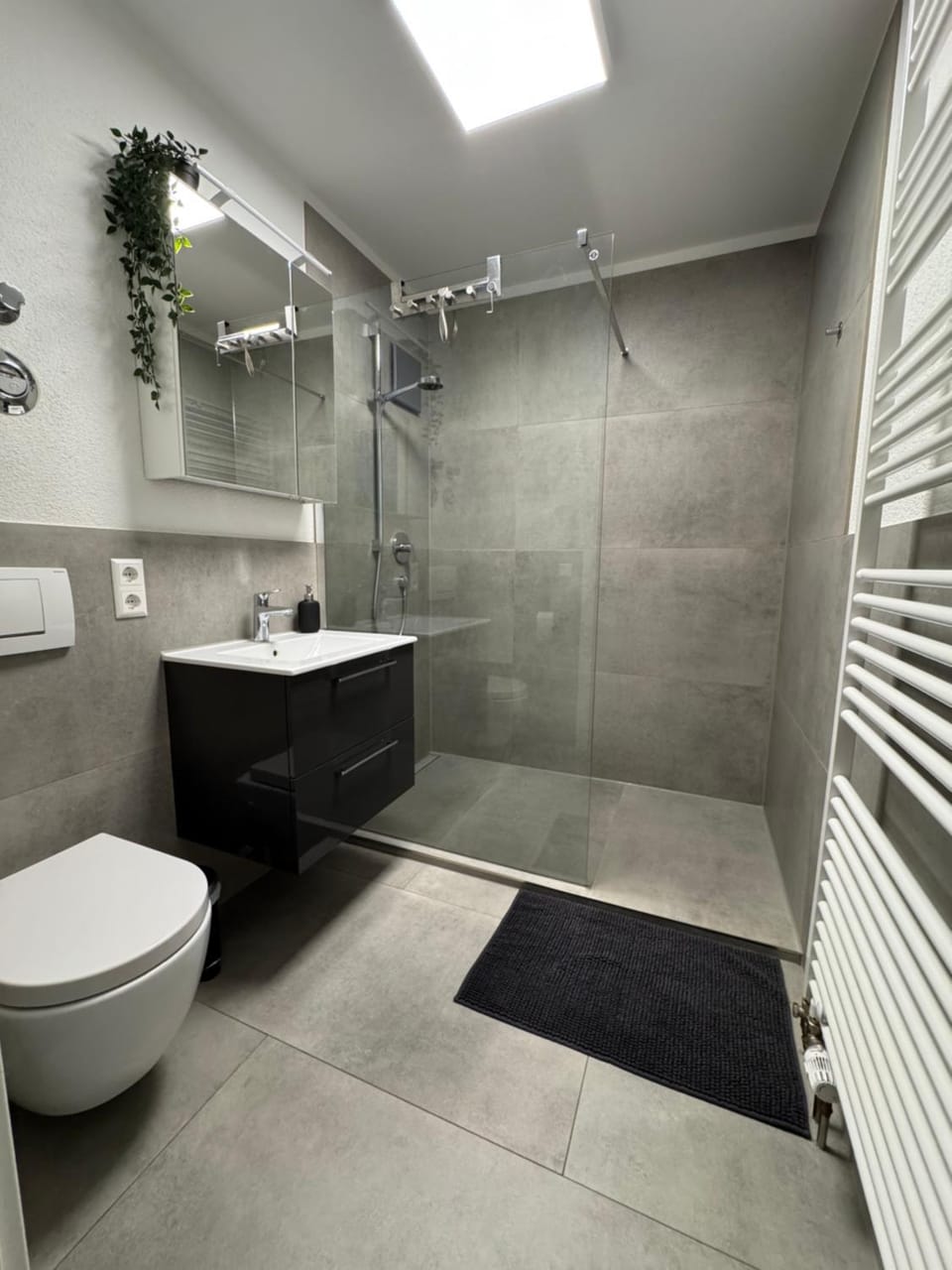 Shower, Toilet, Bathroom, towels