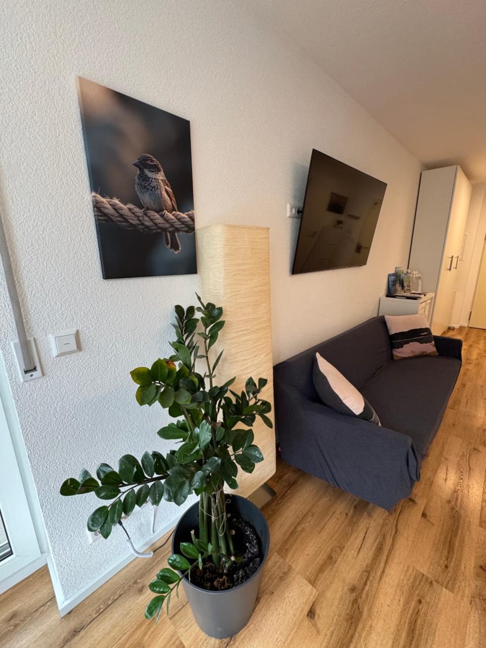 TV and multimedia, Living room, Seating area, Evening entertainment