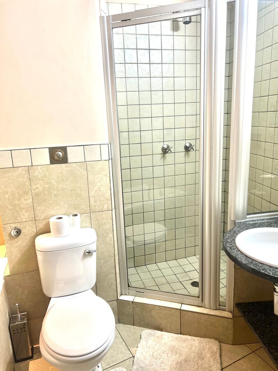 Shower, Toilet, Bathroom, bidet
