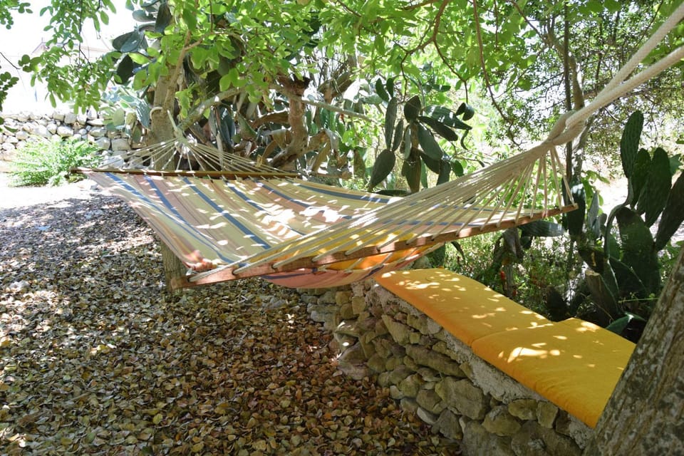 Garden, Entertainment