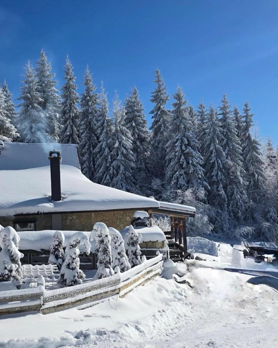 Planinska kuca ANDJELA 2 House in Zlatibor District, Serbia