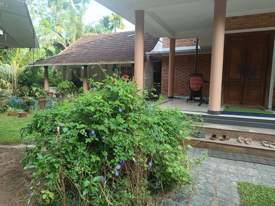Marari Arattukulam Haven Vacation rental in Kerala