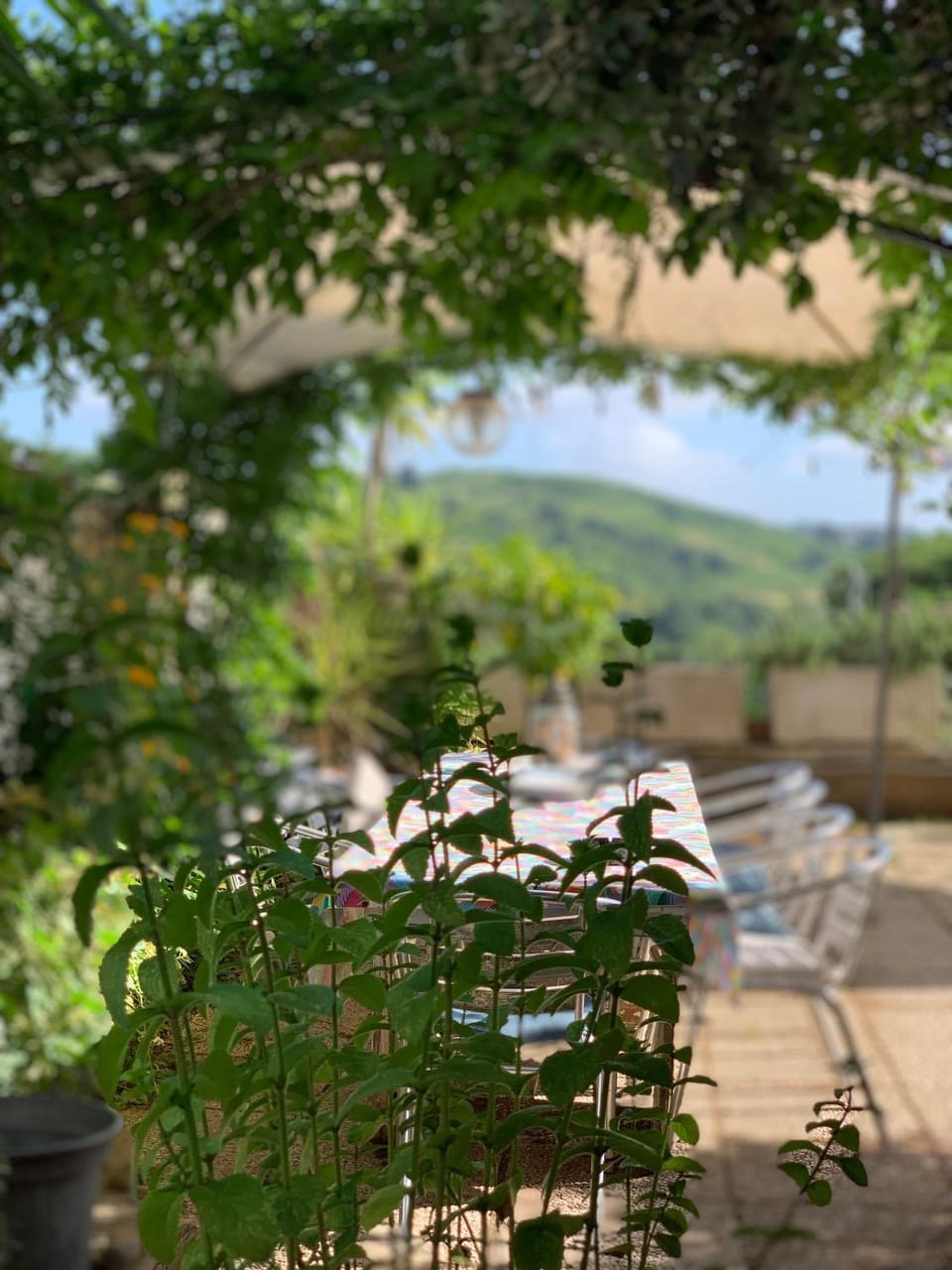 Garden, Garden view