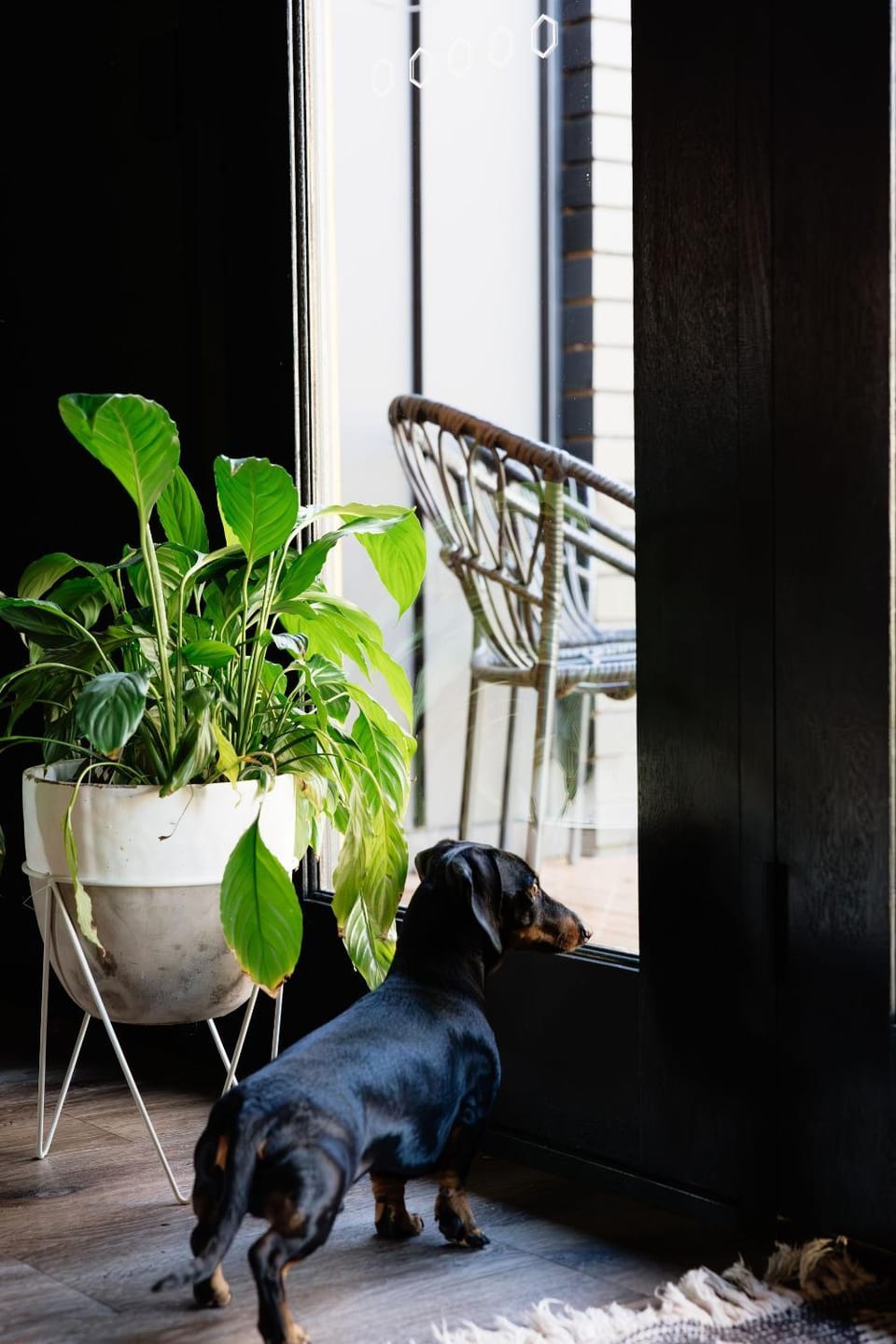 Black Diamond - Pet Friendly, Magnesium Spa House in Porepunkah