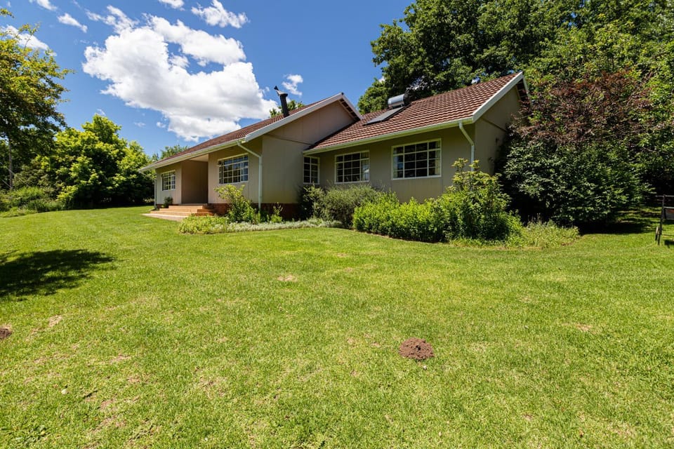 Property building, Garden, Garden view
