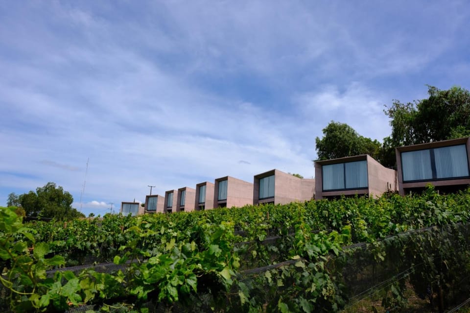 Property building, Natural landscape, Garden view