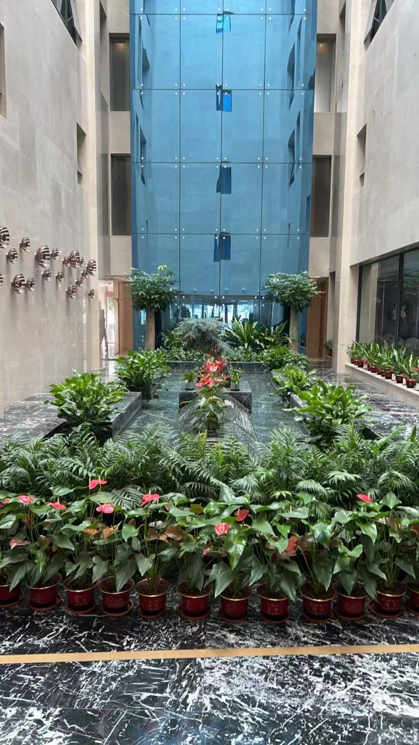 Garden view