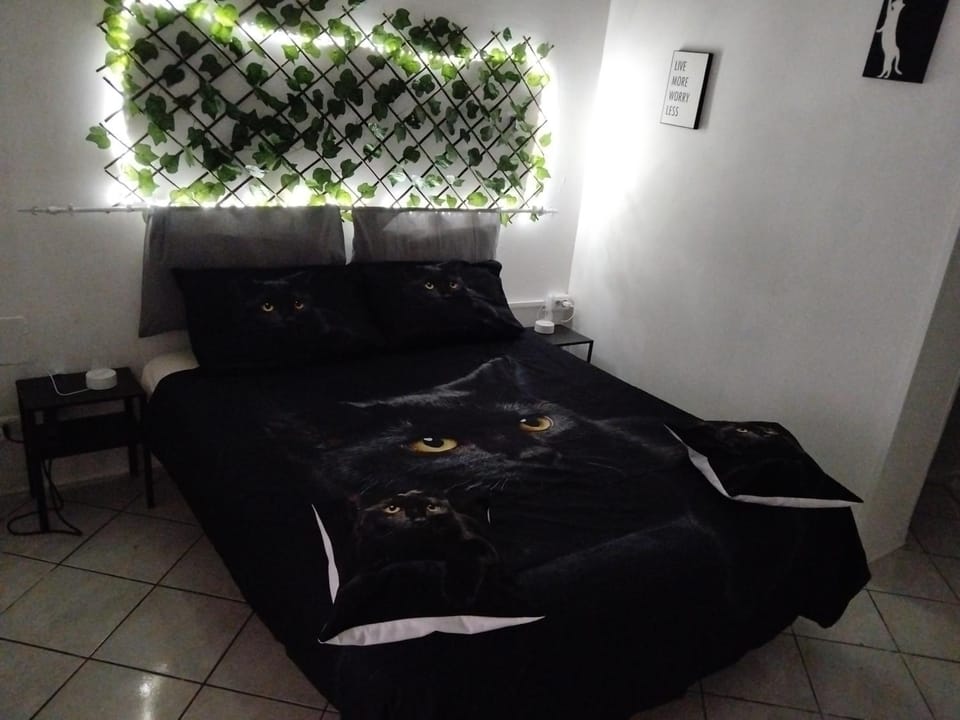 Il covo del gattonero Apartment in Catania