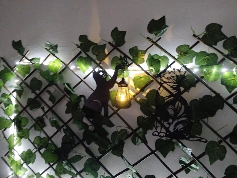 Il covo del gattonero Apartment in Catania