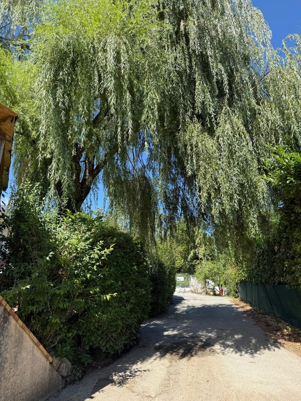 Large house with 5 bedrooms - Swimming pool Villa in Haute-Savoie